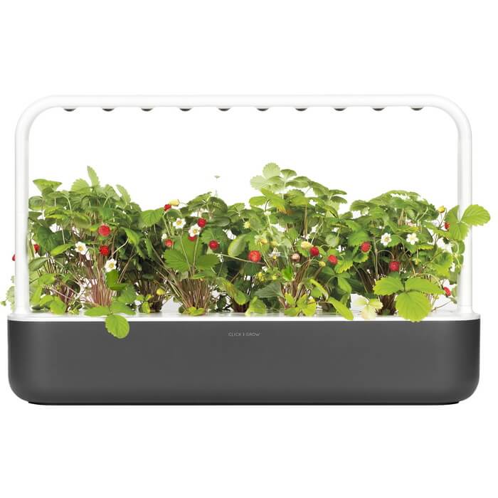 Умные горшки clickandgrow.ru